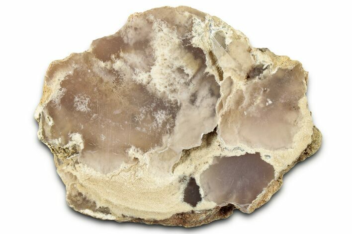 Agate Replaced Petrified Wood Limb Cast - Nevada #326674